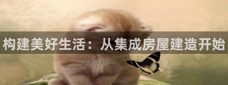先锋岛娱乐：构建美好生活：从集成房屋建造开始