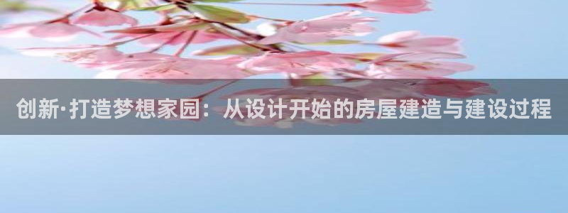 先锋电玩娱乐：创新·打造梦想家园：从设计开始的房屋建造与建设过程