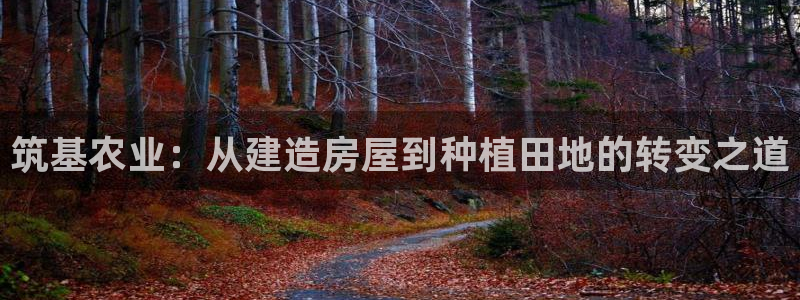 先锋娱乐公司：筑基农业：从建造房屋到种植田地的转变之道