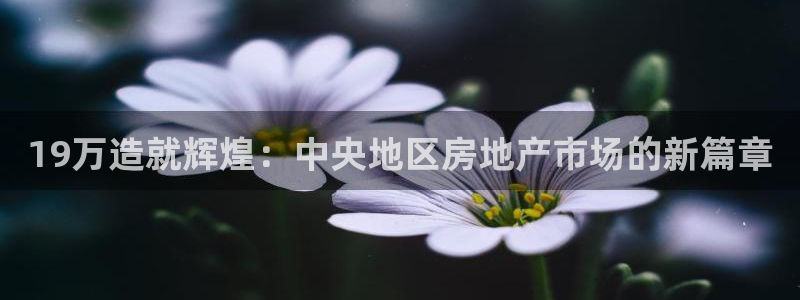 先锋娱乐资讯：19万造就辉煌：中央地区房地产市场的新篇章