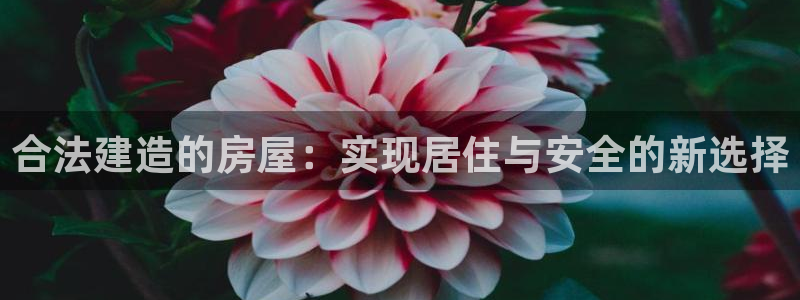 先锋娱乐账号注册不了：合法建造的房屋：实现居住与安全的新选择
