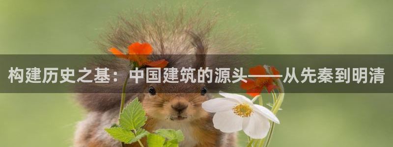 先锋电子旗下先锋娱乐