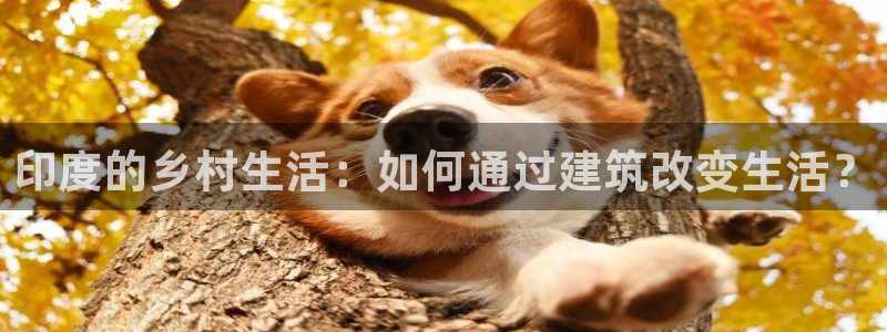先锋娱乐邀请码多少位啊：印度的乡村生活：如何通过建筑改变生活？