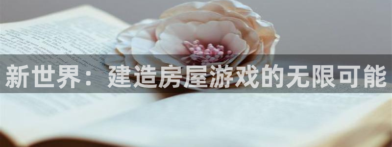 先锋娱乐播报：新世界：建造房屋游戏的无限可能