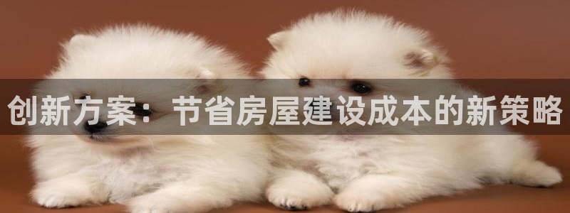 网上炸金花先锋娱乐：创新方案：节省房屋建设成本的新策略