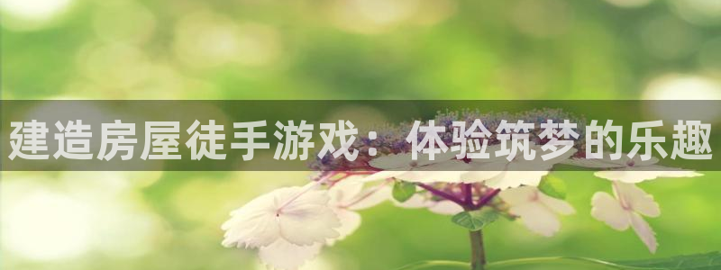 先锋娱乐官网：建造房屋徒手游戏：体验筑梦的乐趣