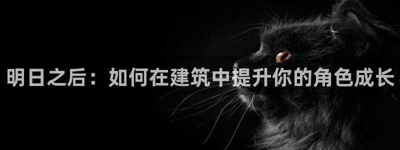 先锋娱乐简介图片