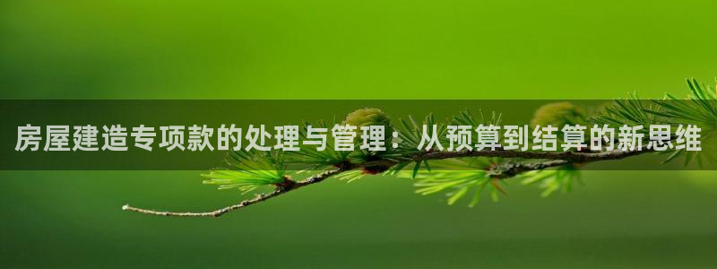 先锋娱乐客服中心：房屋建造专项款的处理与管理：从预算到结算的新思维