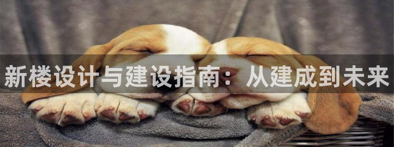 先锋澳门新娱乐：新楼设计与建设指南：从建成到未来