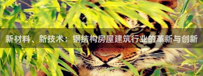 先锋娱乐管理集团招聘：新材料、新技术：钢结构房屋建筑行业的革新与创新